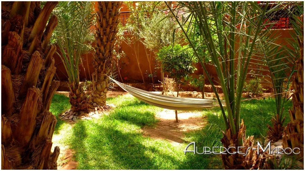 Photo of Les Jardins du drâa