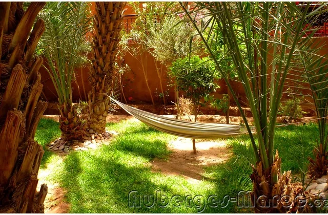 Photo de Les Jardins du drâa