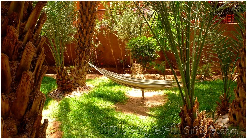 Photo of Les Jardins du drâa