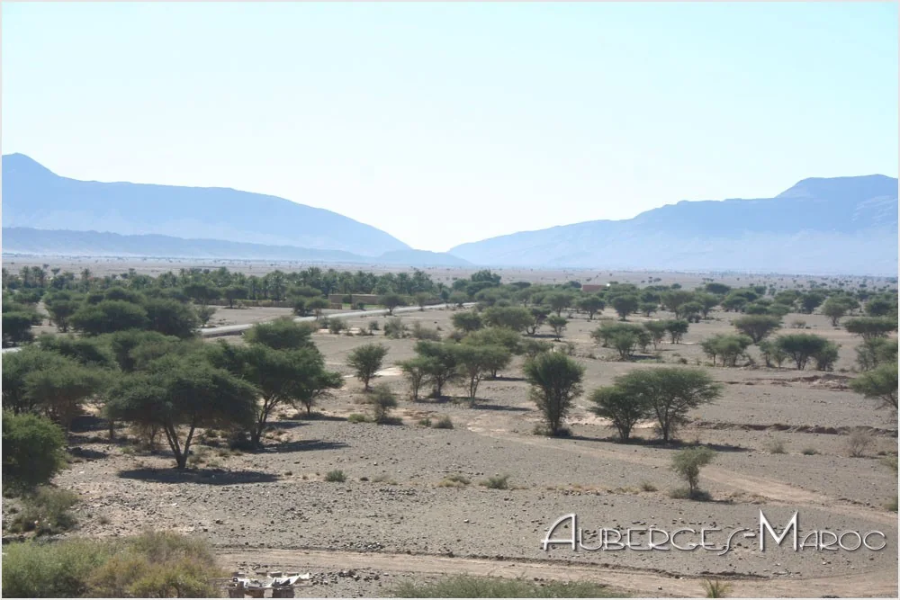 Photo de Hotel El Fayja