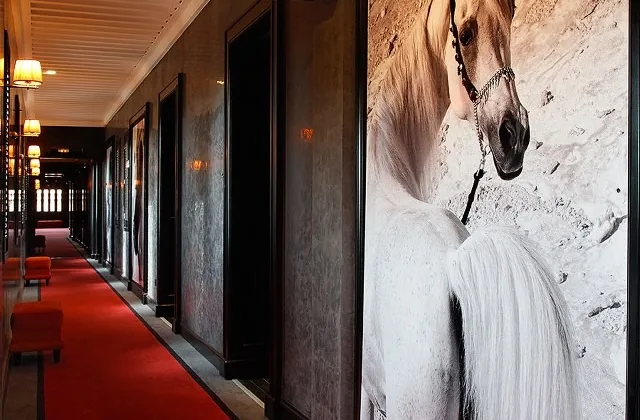 Hotel selman