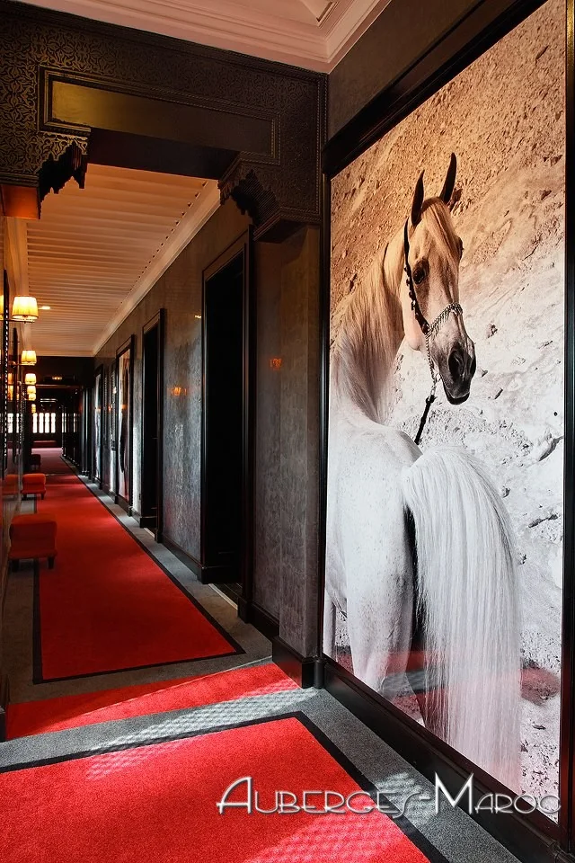 Photo of Hotel selman