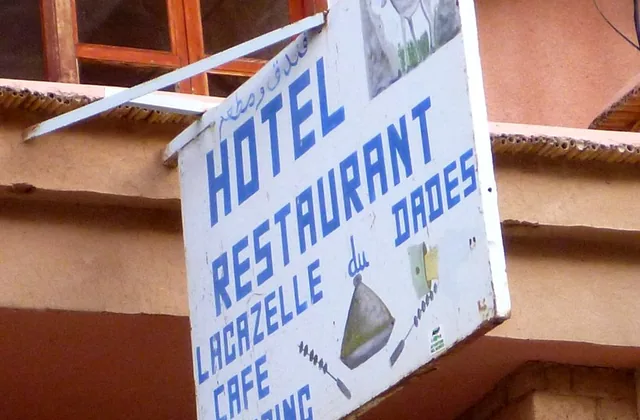 Photo of Gazelle du Dadès