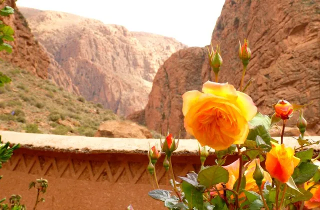 Photo de Hotel au nom de la rose