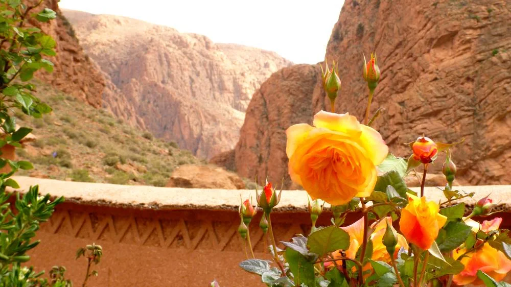 Photo of Hotel au nom de la rose