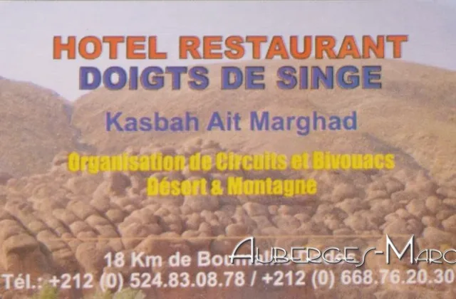 Hotel Doigts des singes
