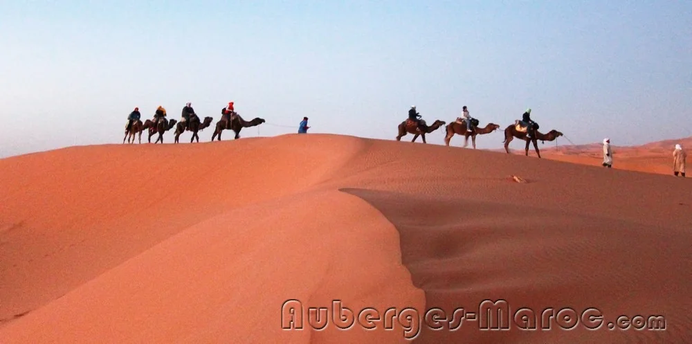 Photo de Auberge le petit Prince
