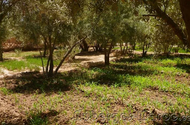 Photo of Kasbah Les Nomades