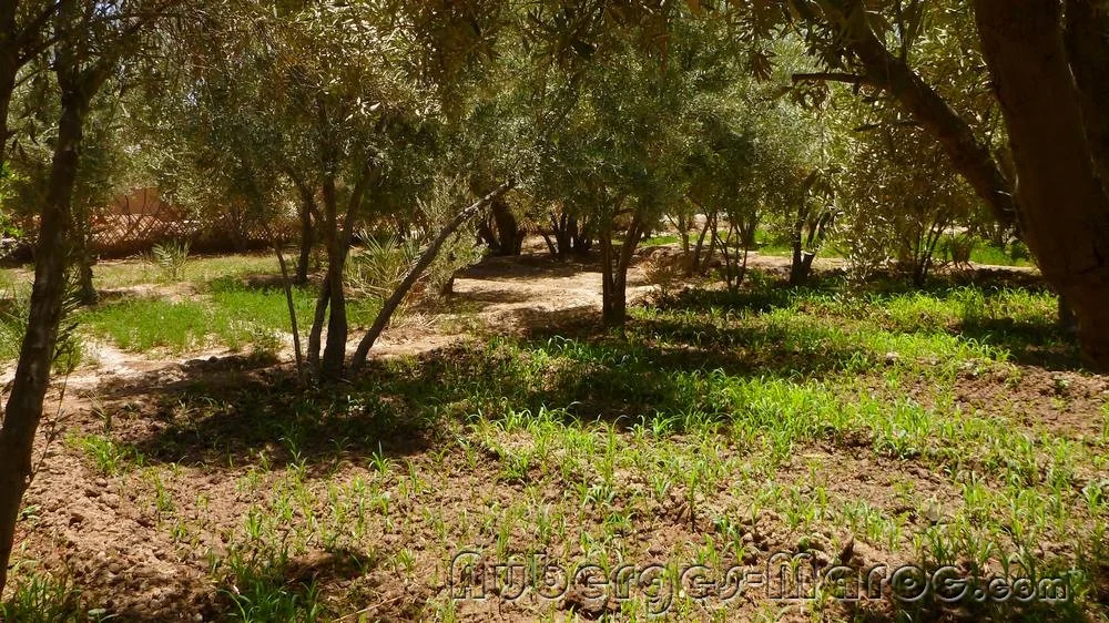 Photo of Kasbah Les Nomades