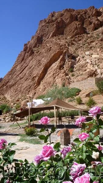 Photo of Auberge le Festival