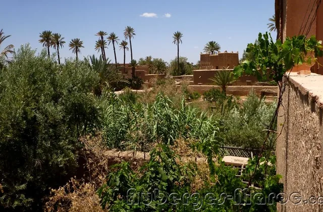 Photo de Kasbah Gite La Palmeraie