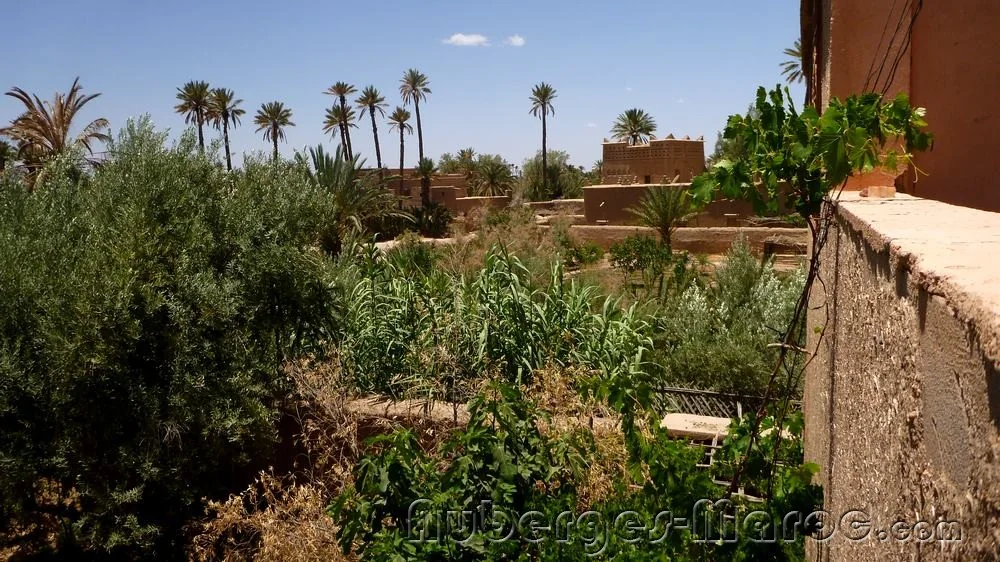 Photo of Kasbah Gite La Palmeraie