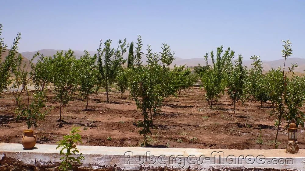 Photo of Camping Adrar