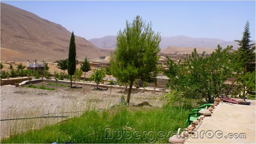 Photo of Camping Adrar