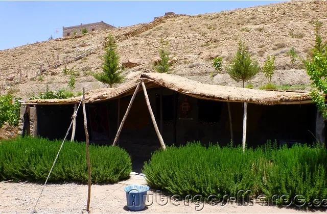 Photo de Camping Adrar