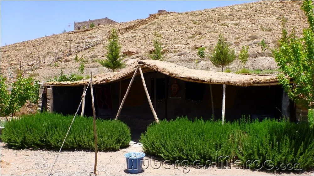 Photo of Camping Adrar