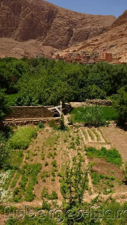 Photo de Maison D'Hote aicha
