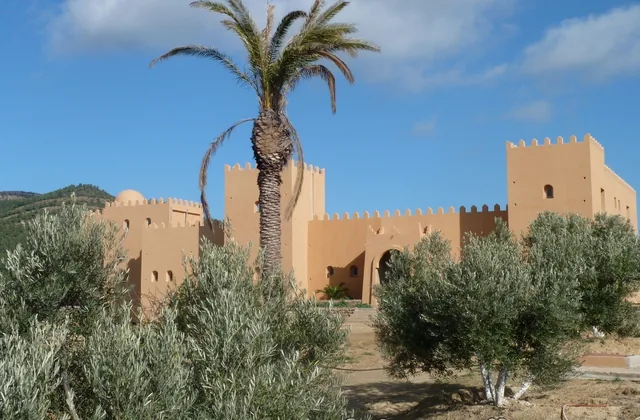 Photo of raidoriental
