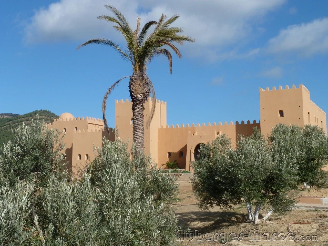 Photo of raidoriental