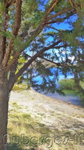 Photo de Auberge Camping Tislite