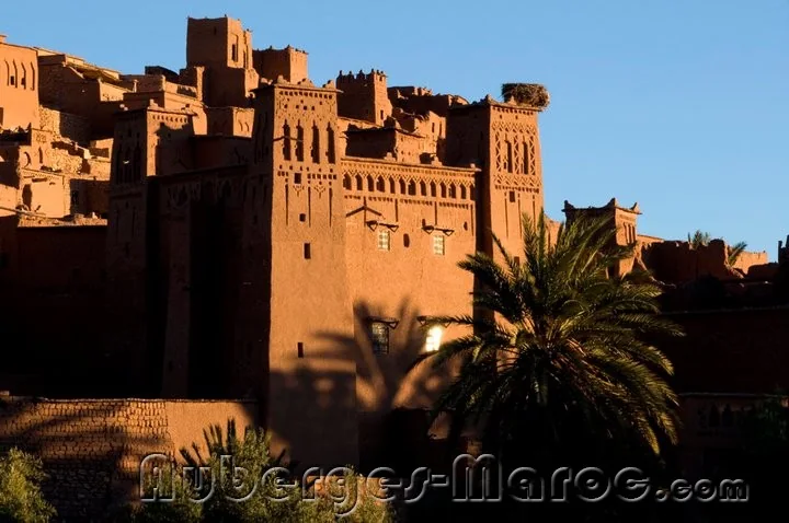 Photo de Kasbah Tebi