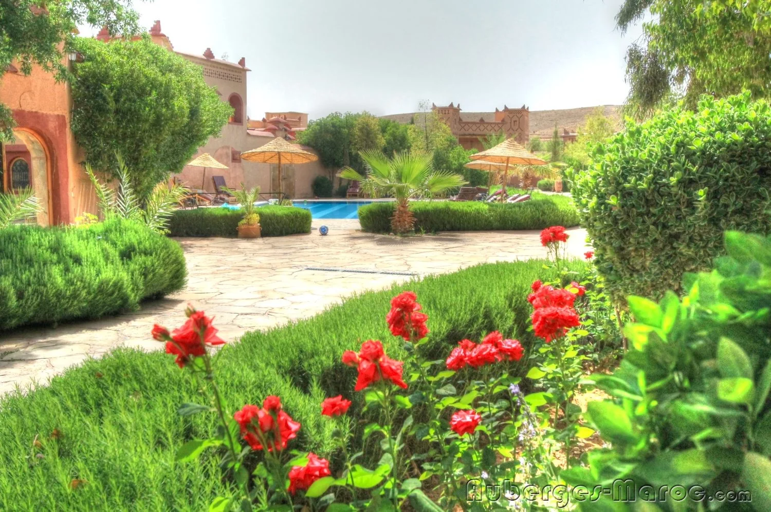 Photo of la perle du dades