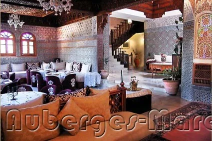 Photo of Riad Nezha