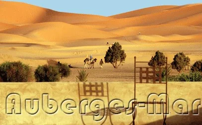 Photo of Dar el Janoub