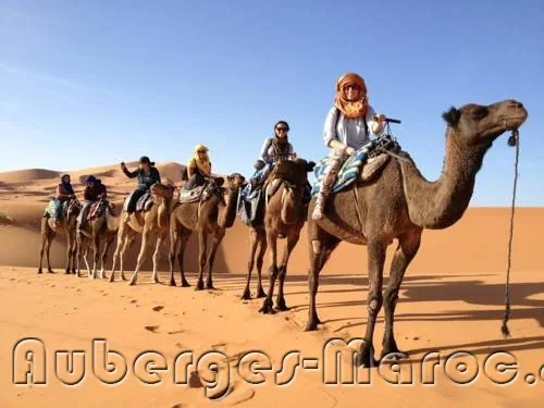 Photo of Hotel Kasbah Bivouac Lahmada