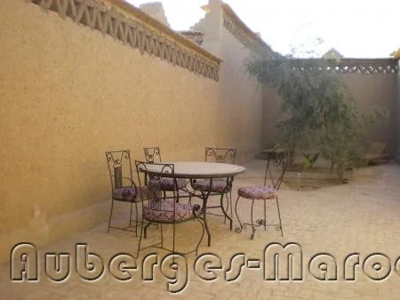 Photo of Dans les Dunes
