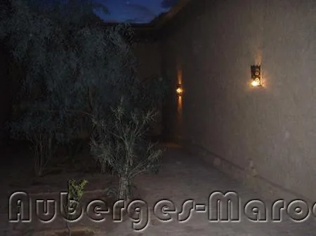 Photo of Dans les Dunes