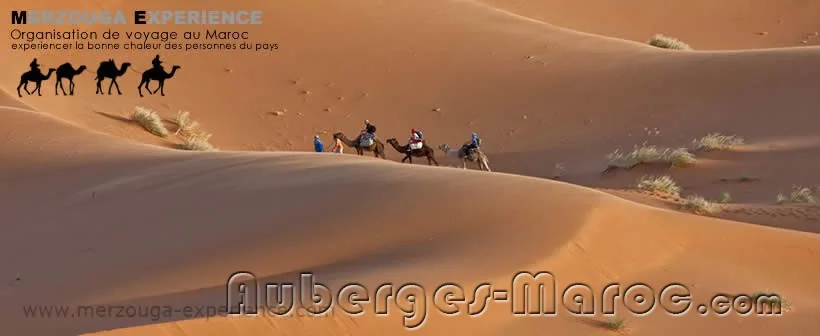 Photo de Bivouac Merzouga Experience