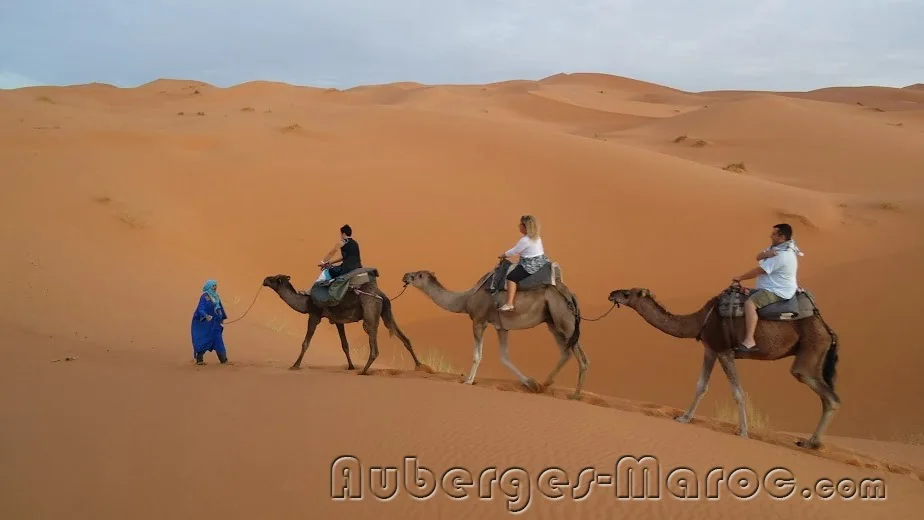 Photo de Riad Tadarte