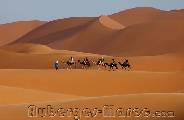 Bivouac Merzouga Tours