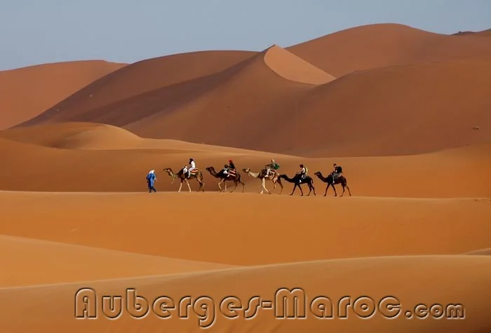 Photo de Bivouac Merzouga Tours