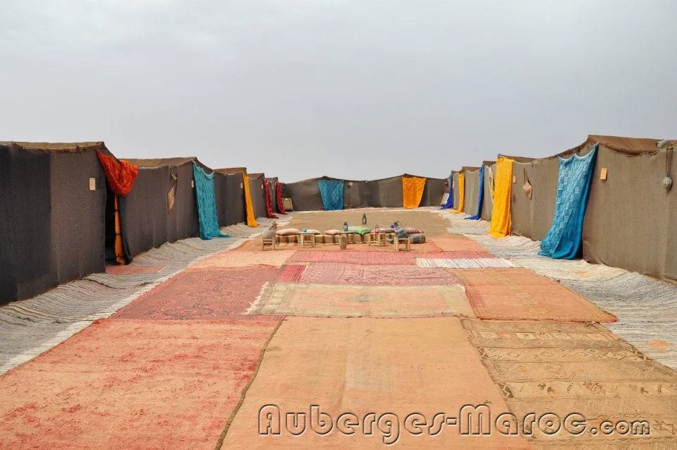 Photo de Palmeras Y Dunas