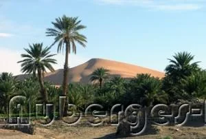Photo of Auberge Oasis Merzouga