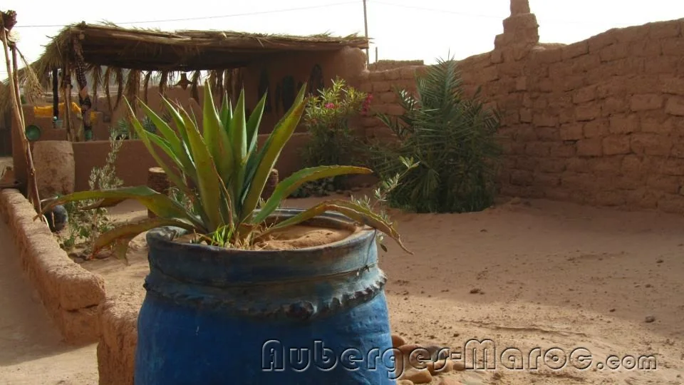 Photo of Auberge kasbah dar sahara tours