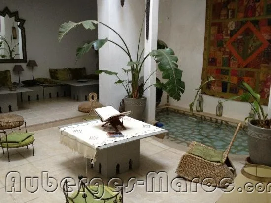 Photo de Riad Safir