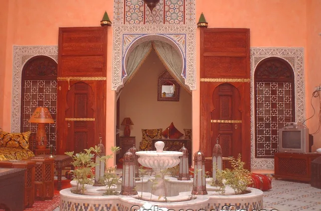 Photo of Riad Idrissi