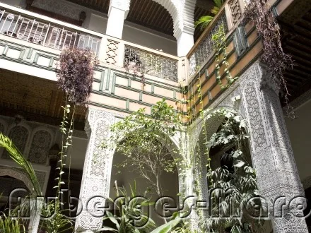 Photo of Riad Albartal