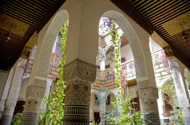 Photo of Riad Albartal