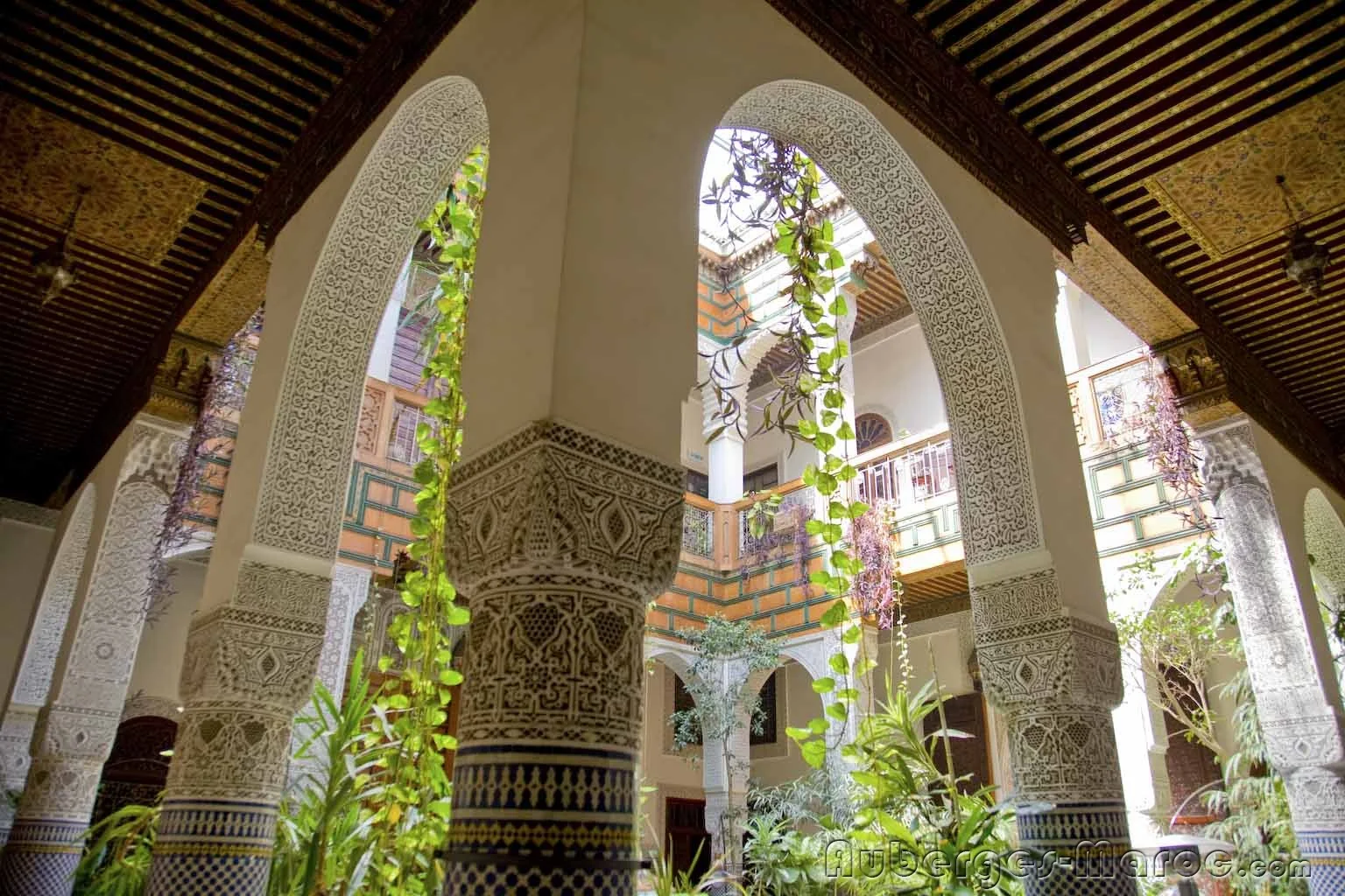 Photo of Riad Albartal