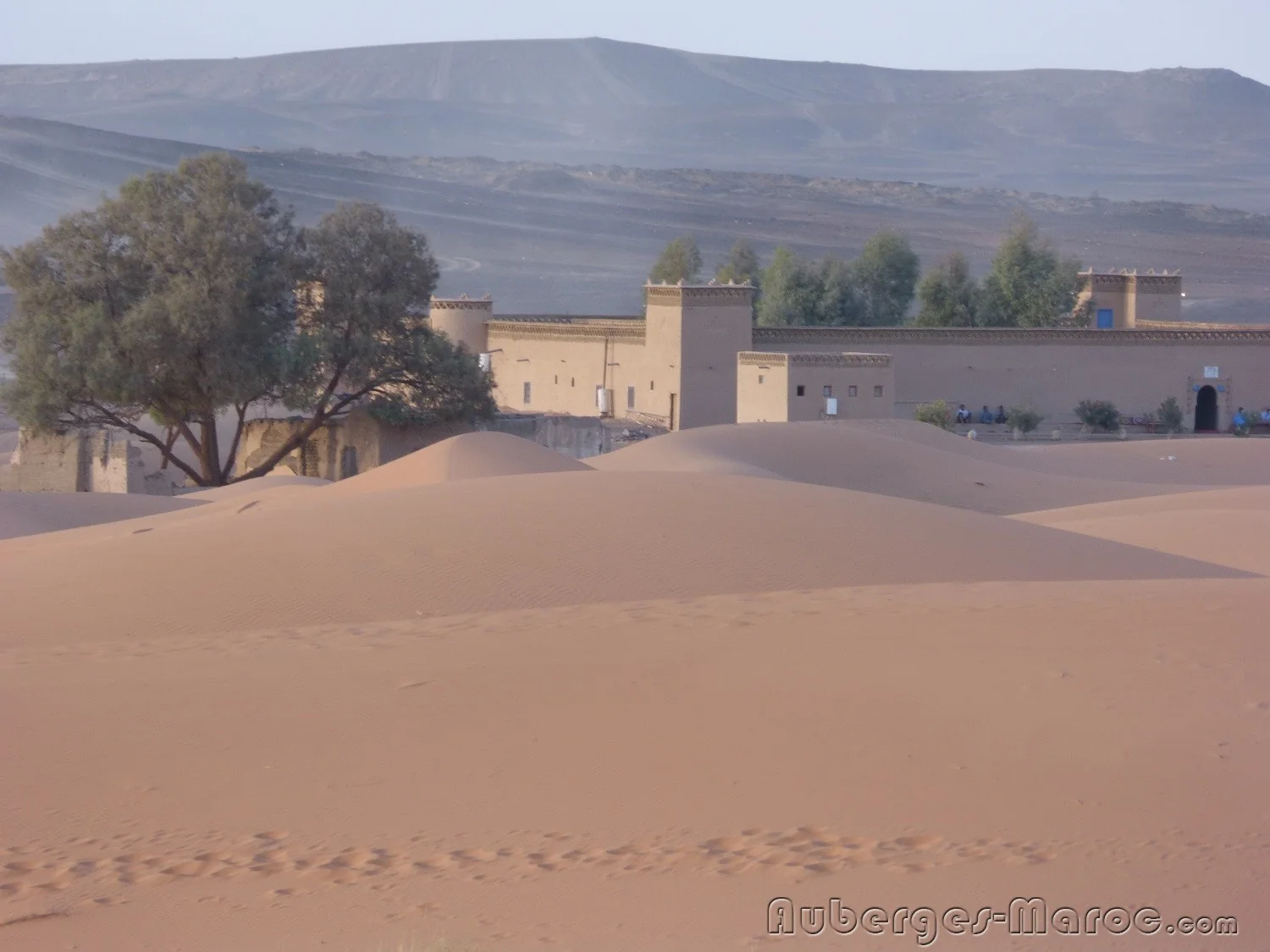 Photo of Etoile des Dunes