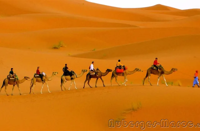 Camel Trek Bivouac