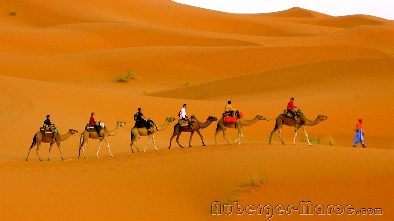 Photo of Camel Trek Bivouac