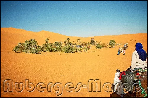 Photo of Camel Trek Bivouac