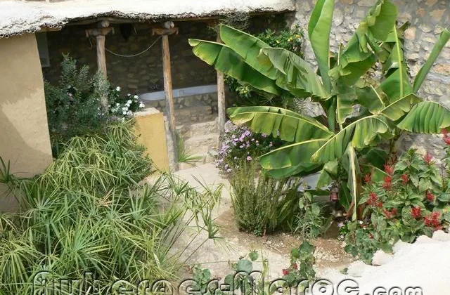 Photo de Terrasses de l'Atlas