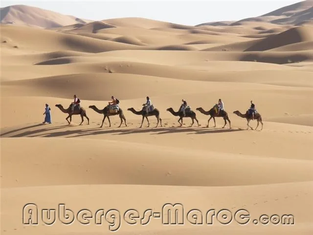 Photo de kasbah tamariste