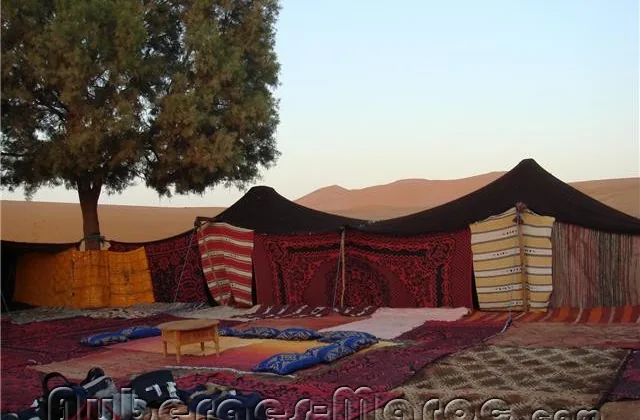 Photo of kasbah tamariste